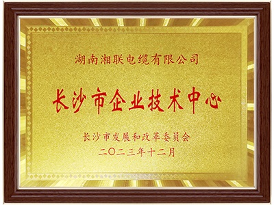 長(cháng)沙市企業(yè)技術(shù)中心