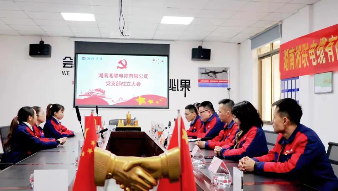 新征程 | 熱烈祝賀湖南湘聯(lián)電纜有限公司黨支部正式成立！