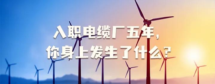 入職電纜廠(chǎng)五年，你身上發(fā)生了哪些變化~