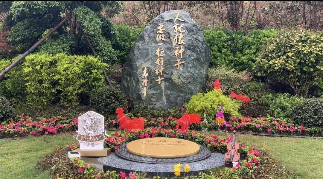 禾下乘涼夢(mèng)，一稻一人生 我們永遠懷念袁爺爺 #安全用電你我湘聯(lián)